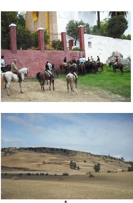Cortijo Santa Clara * Carmona (Seville)