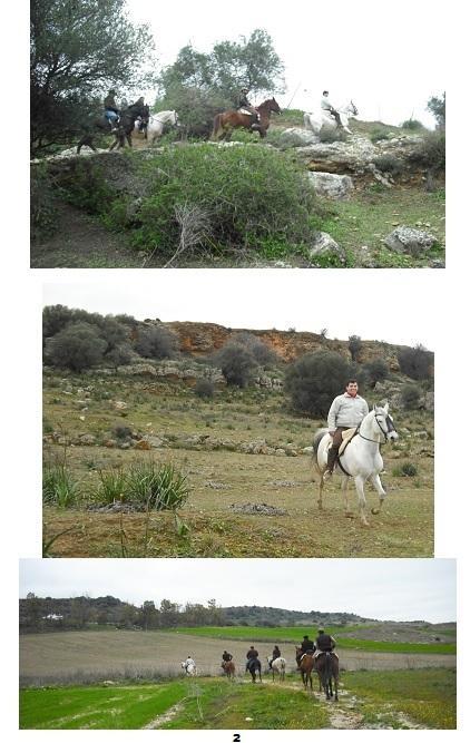 Cortijo Santa Clara Vakantieboerderij